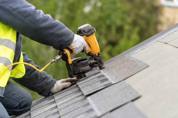 Best Solar Panel Roofing Installation  in Forrest, IL