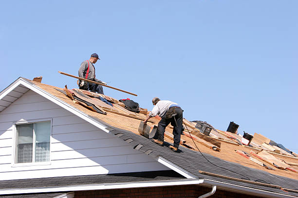 Best Storm Damage Roof Repair  in Forrest, IL